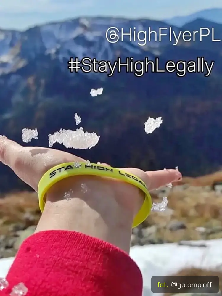 Opaska High-Flyer na dloni, w tle osniezone gory